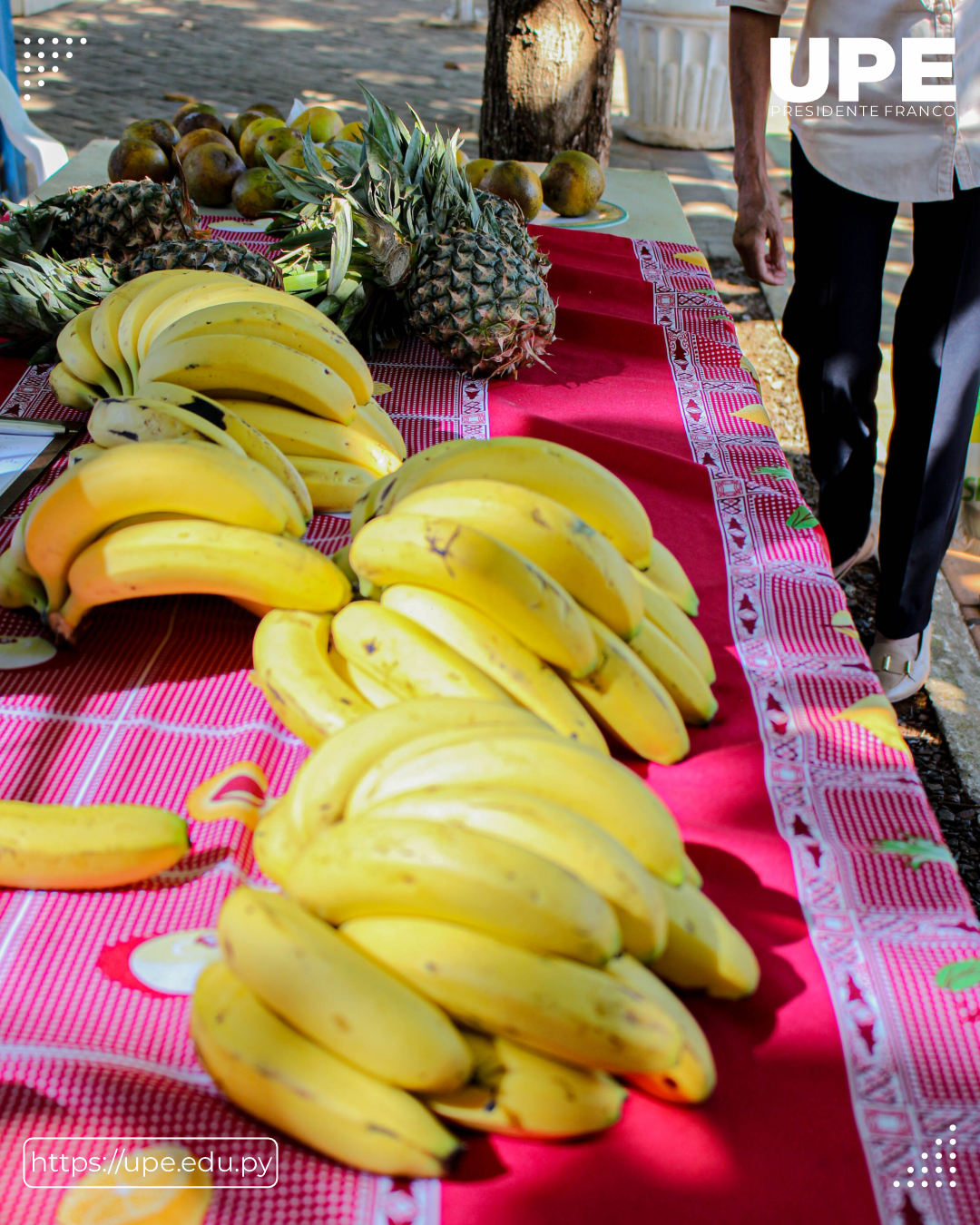 Feria de Frutas de la Carrera de Agronomía 